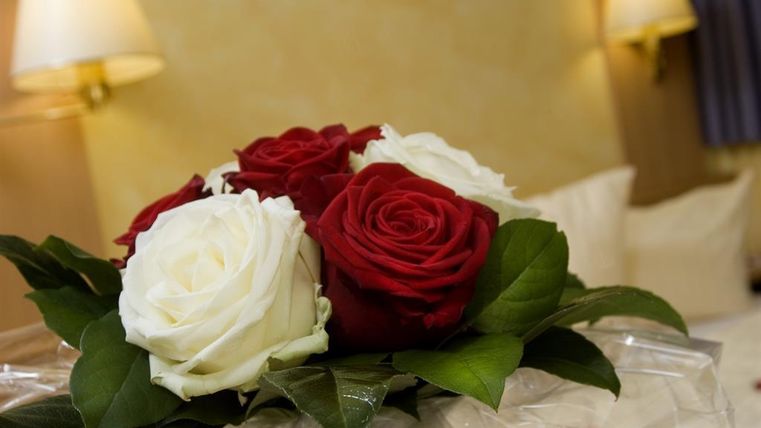 Ein Bouquet aus roten und weißen Rosen mit grünen Blättern. Im Hintergrund sind sanfte, helle Farben und weiche Beleuchtung zu sehen.