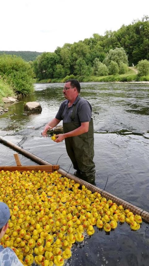 Ein Mann steht im Wasser und um ihn herum sind viele gelbe Gummienten. Im Hintergrund sind Bäume und ein ruhiger Fluss zu sehen.