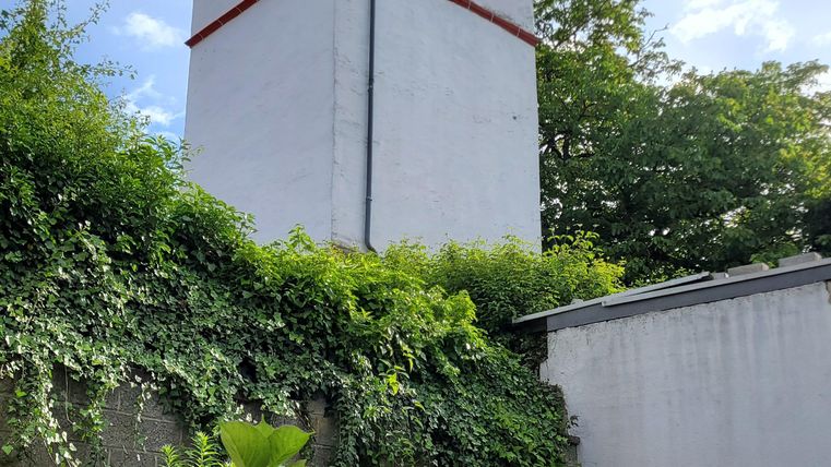 Ein weißer Kirchturm mit roten Akzenten ragt gegen einen blauen Himmel. Im Vordergrund blühen bunte Blumen und das Grün der Pflanzen umgibt die Szene.