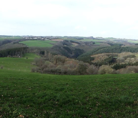 Panoramic view from Scheuern over green meadows, forests and surrounding villages under a cloudy sky., &copy; Felsenland S&uuml;deifel Tourismus GmbH, Natalie Mainz
