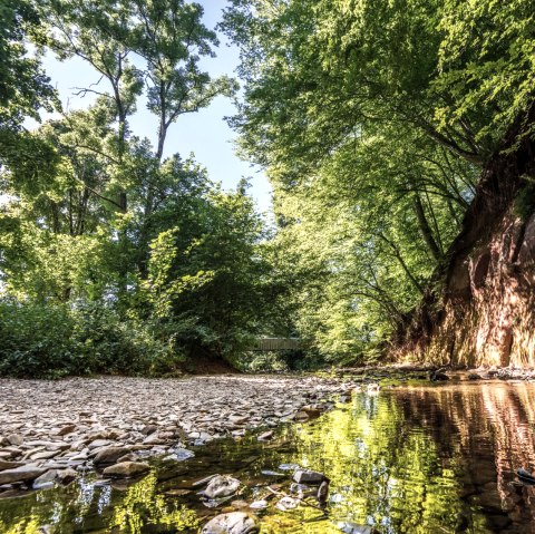 Vue sur la paroi de gr&egrave;s bigarr&eacute; Roter Puhl, &copy; Eifel Tourismus GmbH, D. Ketz