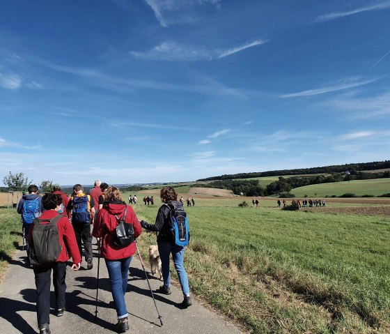 Unterwegs während der Wanderwoche Südeifel, © Felsenland Südeifel Tourismus GmbH