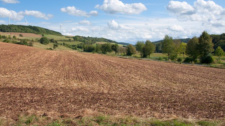 Landschaft mit braunem Feld, Bäumen und Windrädern im Hintergrund unter blauem Himmel mit Wolken.