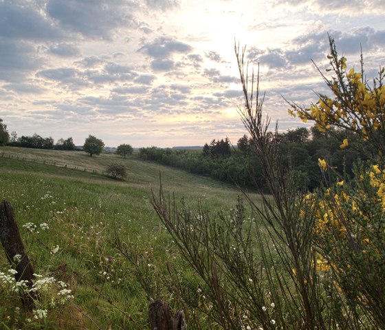 Stream path, meadow landscape, © Naturpark Südeifel, V. Teuschler