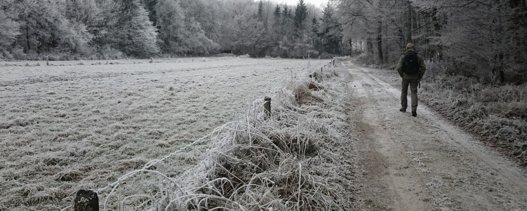 Winterlandschaft, © Felsenland Südeifel Tourismus GmbH, Elke Wagner