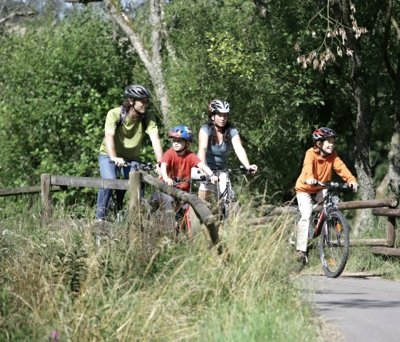 En route dans la nature sur la piste cyclable Eifel-Ardennes, © Eifel Tourismus GmbH/intention