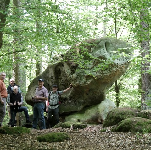 Hiking group at the "sacrificial altar", © Felsenland Südeifel Tourismus GmbH, Elke Wagner