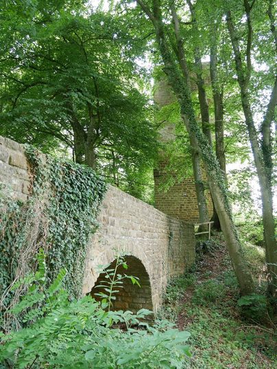 Eine alte Steinmauer, die von dichtem Grün umgeben ist. Im Hintergrund ist ein hoher Turm, der von Bäumen umgeben ist.