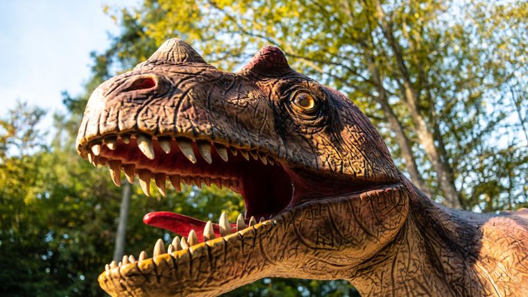 Ein großer Dinosaurierkopf ist zu sehen, mit scharfen Zähnen und lebhaftem Gesichtsausdruck. Im Hintergrund sind grüne Bäume und ein klarer Himmel zu erkennen.