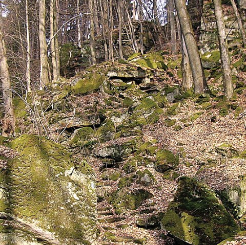 Moosbedeckte Sandsteinstufen führen durch einen herbstlichen Wald. Bäume und Laub umgeben die natürliche Treppe.