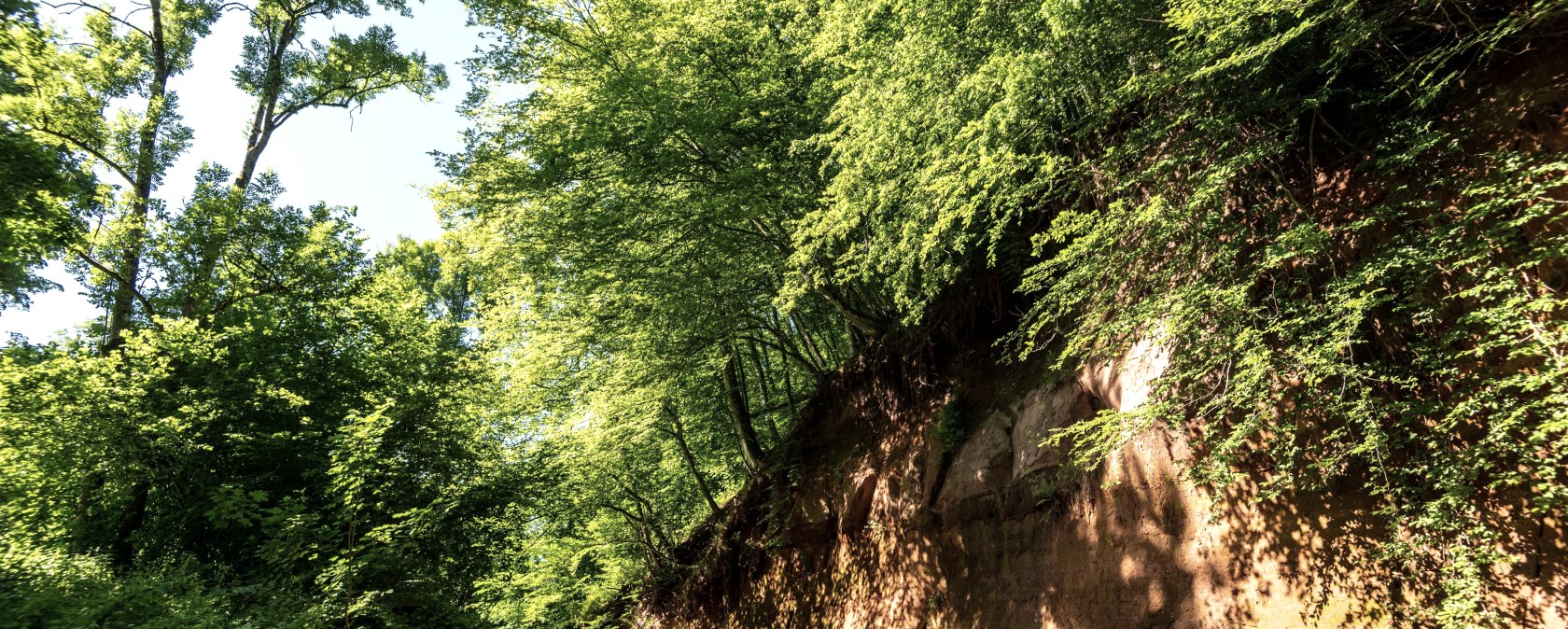 Roter Puhl, &copy; Eifel Tourisus GmbH, D. Ketz