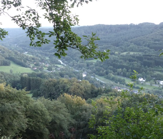 Panoramic view over the green S&ucirc;re valley near Bollendorf, surrounded by hills and forests, with scattered houses and a road in the valley., &copy; Elke Wagner, Felsenland S&uuml;deifel Tourismus GmbH