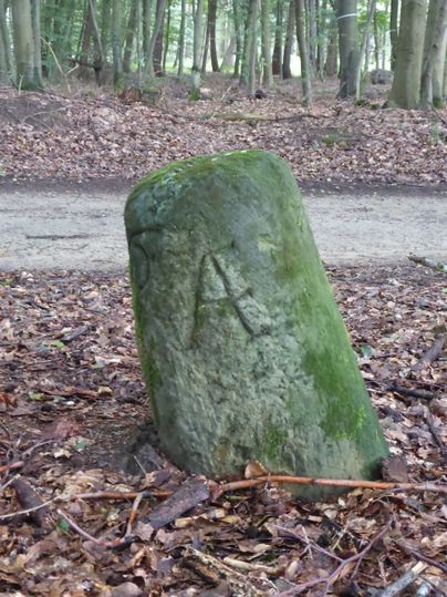 Ein moosbedeckter Grenzstein im Wald mit eingravierten Buchstaben.