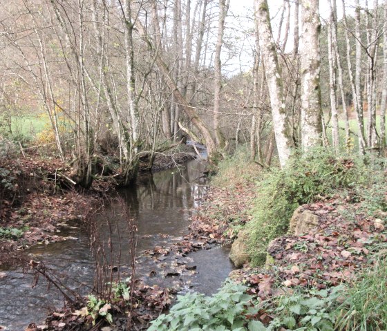 A small stream meanders through an autumnal forest valley with bare trees and leaves on the ground., &copy; Felsenland S&uuml;deifel Tourismus GmbH, Natalie Mainz