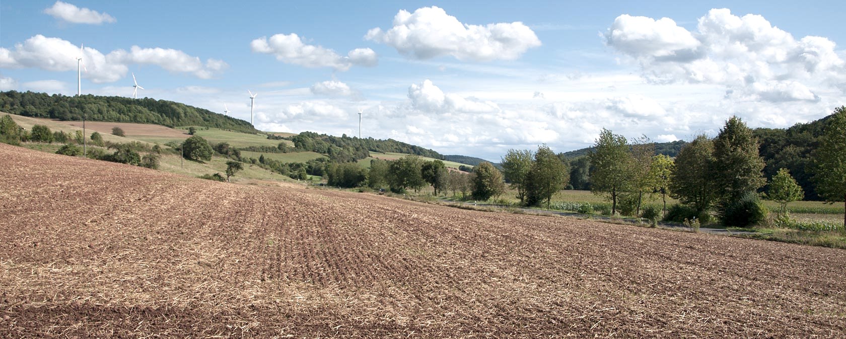Uitgestrekt landschap met velden, bomen en windturbines op de achtergrond. De lucht is blauw met witte wolken., &copy; V. Teuschler