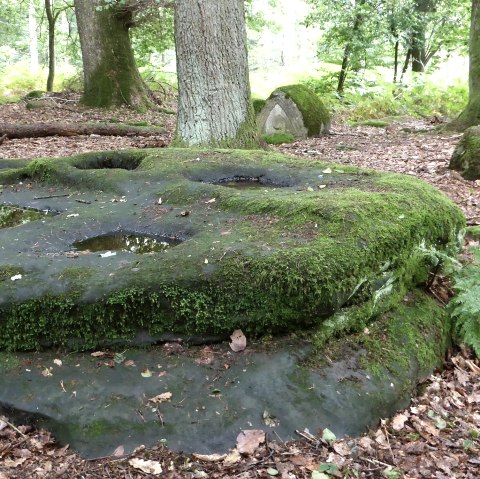 Kiesgr&auml;ber - Grabgruben im gewachsenen Fels, &copy; Felsenland S&uuml;deifel Tourismus GmbH
