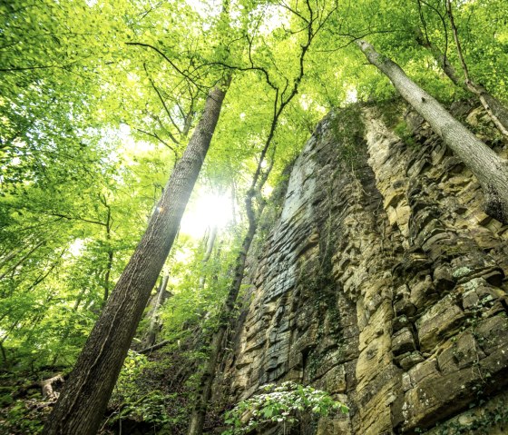 Indrukwekkende rotswand in de Wolfsschlucht-kloof op Felsenweg 3, © Eifel Tourismus GmbH, D. Ketz