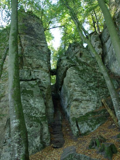 Schmale Schlucht mit steinernen Treppen und hohen Felswänden, umgeben von Bäumen.