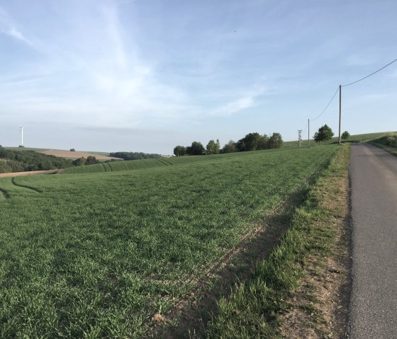 img_1075, &copy; Manuel Norta, Ammeldingen