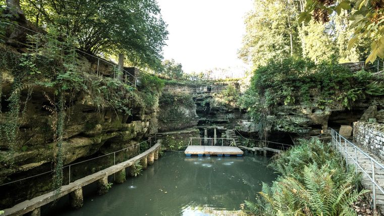 Een rustige, groene kloof met helder water en weelderige vegetatie. Houten loopbruggen langs het water bieden een prachtig uitzicht.