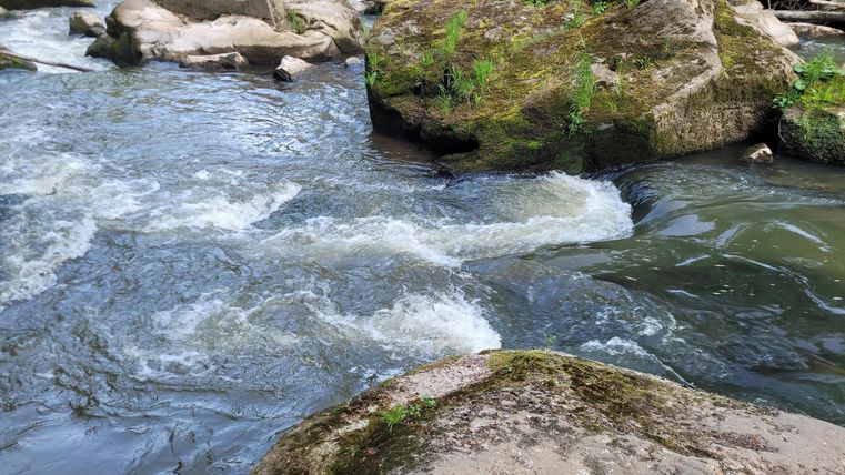 Ein ruhiger Fluss mit klarem Wasser fließt zwischen großen Steinen. Umgeben von natürlichem Grün und Ästen.