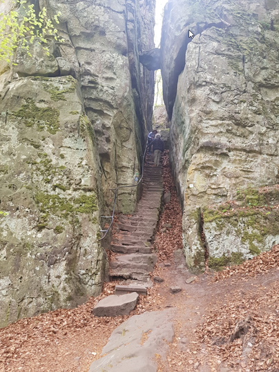 Ein schmaler Pfad führt durch hohe Felsen, umgeben von herbstlichen Blättern. Eine Person erklimmt die steinernen Stufen in der Natur.
