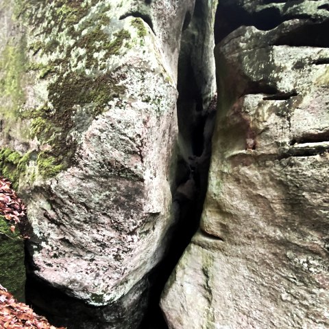 Muhmenlay Nahaufnahme, &copy; Felsenland S&uuml;deifel Tourismus GmbH, AC Krebs