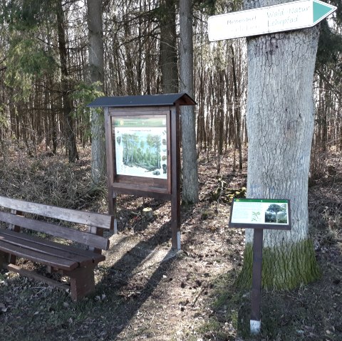 20190227_153143, &copy; Reinhold Hoffmann, Eifelverein Mettendorf-Sinspelt