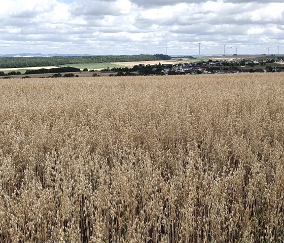 Weites Getreidefeld mit einem Dorf und Windrädern im Hintergrund. Der Himmel ist bewölkt, die Landschaft wirkt weitläufig und ruhig., © Tourist-Information Bitburger Land