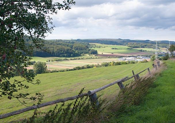 Landschaft mit Wiesen, Bäumen und einem Holzzaun im Vordergrund, Blick auf Felder und Hügel unter bewölktem Himmel.