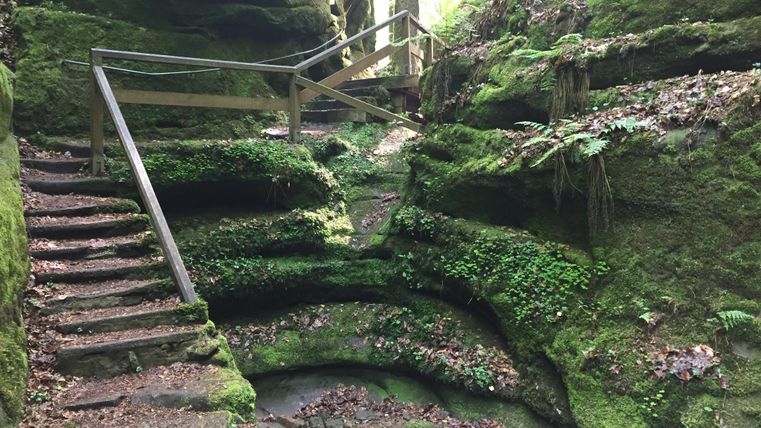 Ein malerischer Weg mit Holzstufen führt durch eine grüne Schlucht. Moosbedeckte Felsen und üppige Pflanzen schaffen eine ruhige Atmosphäre.