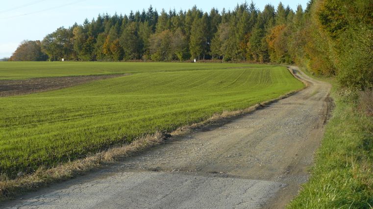 Ländlicher Weg neben einem grünen Feld und Wald.