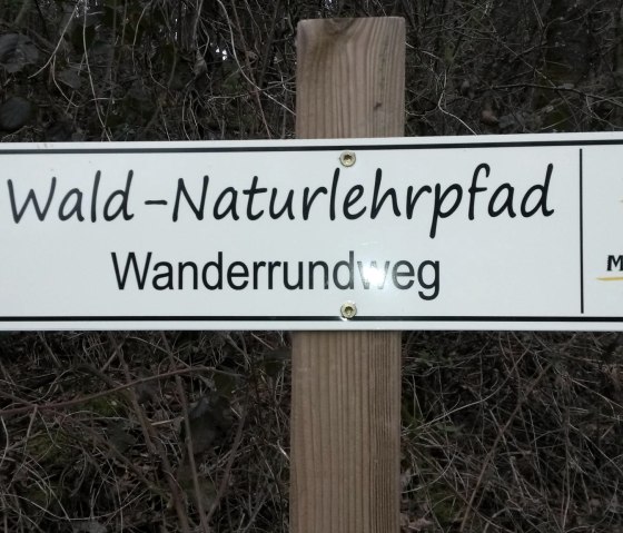 naar het-bos-en-natuurpad, © Eifelverein Mettendorf-Sinspelt