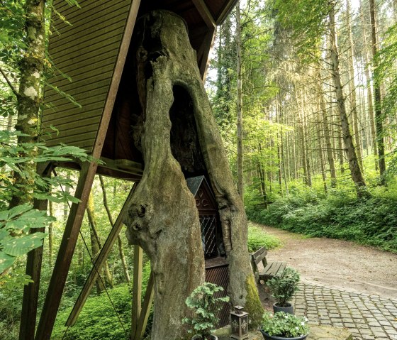 Zwart scherm, © Eifel Tourismus GmbH / Dominik Ketz