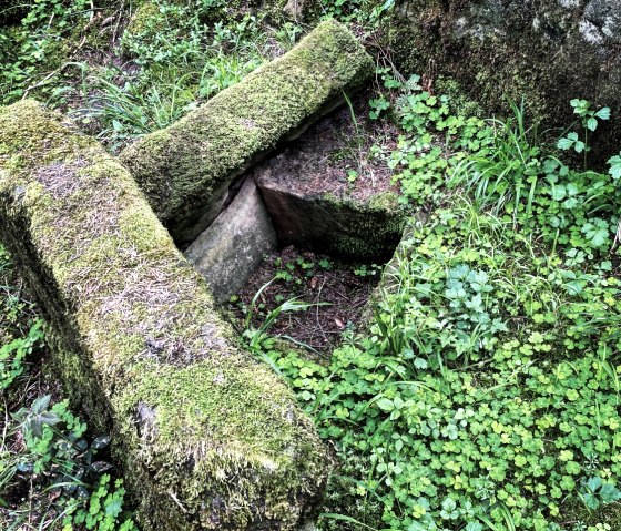 Pierres couvertes de mousse sur un site fun&eacute;raire romain, entour&eacute; d'une v&eacute;g&eacute;tation verte luxuriante et de petites plantes., &copy; Felsenland S&uuml;deifel Tourismus, Anna Carina Krebs