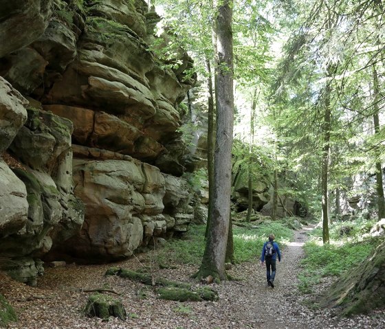 In der Moarkendell/Gr&uuml;ne H&ouml;lle Bollendorf, &copy; Felsenland S&uuml;deifel Tourismus GmbH, Elke Wagner