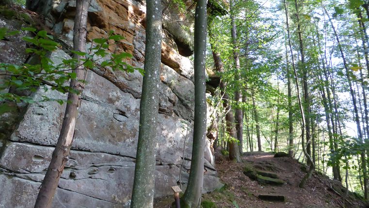 Waldweg mit Felswand und Bäumen.