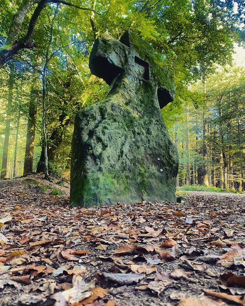 Ein großer, moosbedeckter Stein mit einem Kreuz steht im Wald. Die Umgebung ist von buntem Laub und hohen Bäumen umgeben.
