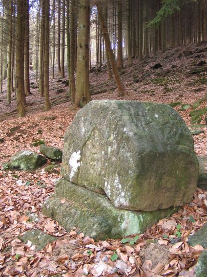 Ein großer Fels in einem Wald mit vielen Bäumen und herabgefallenen Blättern. Die Umgebung ist ruhig und natürlich.