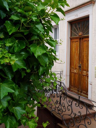 Das Gebäude, indem sich die ferienwohnung befindet, wurde 1990 aufwendig saniert - z.B. mit einer massiven geschnitzten Holz-Eingangstür mit einem schmiedeeisernen Geländer.