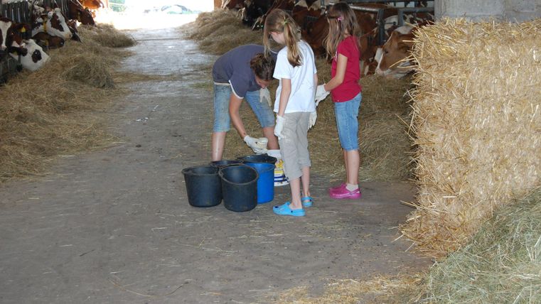 Drei Kinder stehen in einem Stall und bereiten Eimer vor. Im Hintergrund sind Kühe und Stroh zu sehen.