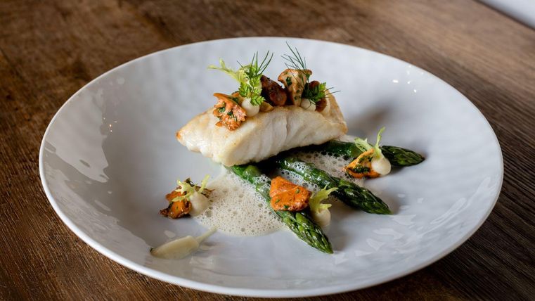 Ein schön angerichteter Teller mit gebratenem Fisch, garniert mit Pilzen und Kräutern. Dazu gibt es frische grüne Spargel.