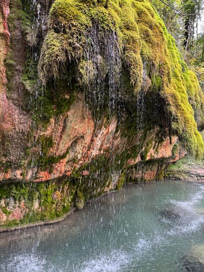 Een waterval stroomt over een met mos bedekte rotswand in helder, kalm water. Omringd door weelderige groene vegetatie biedt de scène een vredige sfeer.