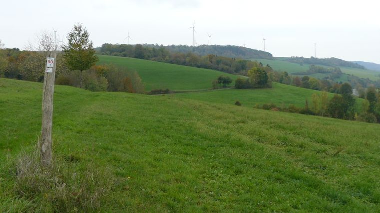 Grüne Hügellandschaft mit Windrädern am Horizont und einem Holzpfosten im Vordergrund.