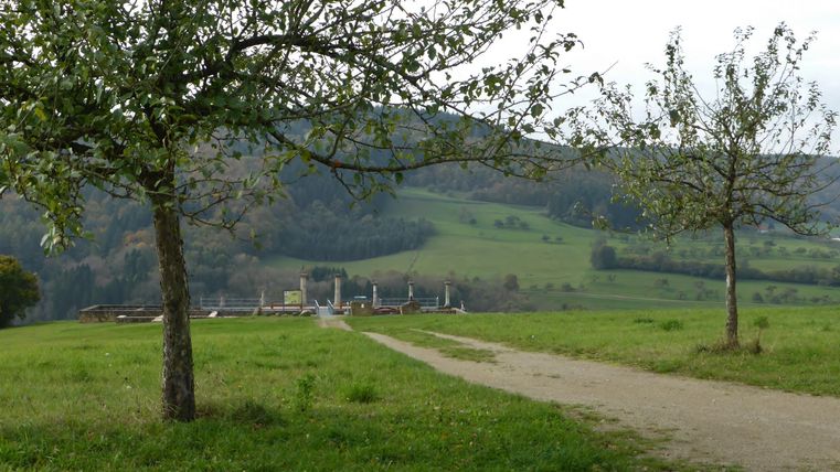 Eine ruhige Landschaft mit grünen Wiesen und Bäumen. Im Hintergrund ist eine Straße sichtbar, die zu einem kleinen Gebäude führt.
