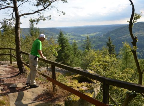 Ein Mann in grüner Kleidung steht an einem Geländer und blickt auf eine bewaldete Landschaft mit Hügeln und Tälern.