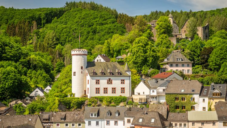 Blick auf die Burg Neuerburg inmitten grüner Wälder und umgeben von Häusern.