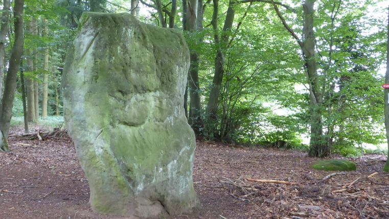 Ein großer, moosbedeckter Stein im Wald, umgeben von Bäumen und Laub.