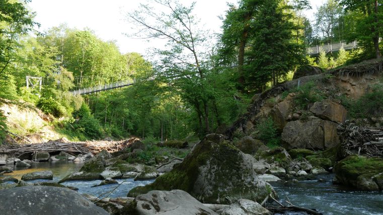 Vue depuis la rive de la Prüm en contrebas de l'ancienne passerelle en bois sur le pont suspendu qui surplombe les rapides.