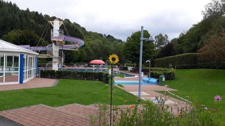 Ein Freizeitbereich mit einem Schwimmbecken und einer Rutsche. Im Vordergrund steht eine Sonnenblume und die Umgebung ist grün und gepflegt.